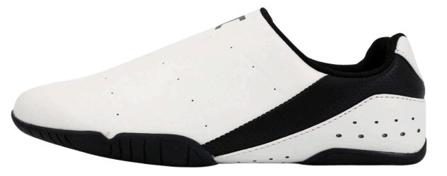 Zapatillas